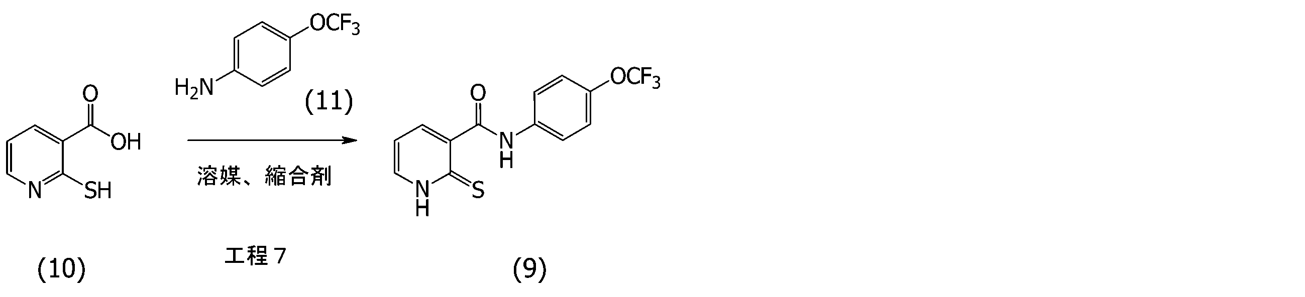 Figure JPOXMLDOC01-appb-C000050