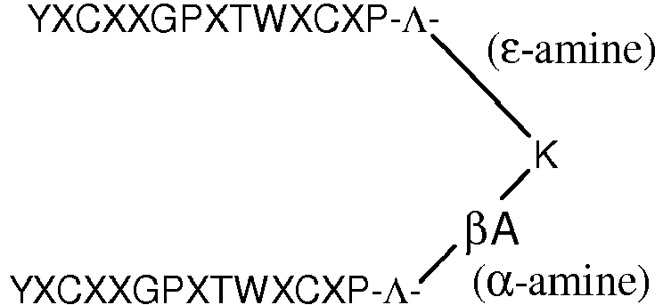 Figure imgb0002