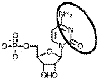 Figure imgb0181