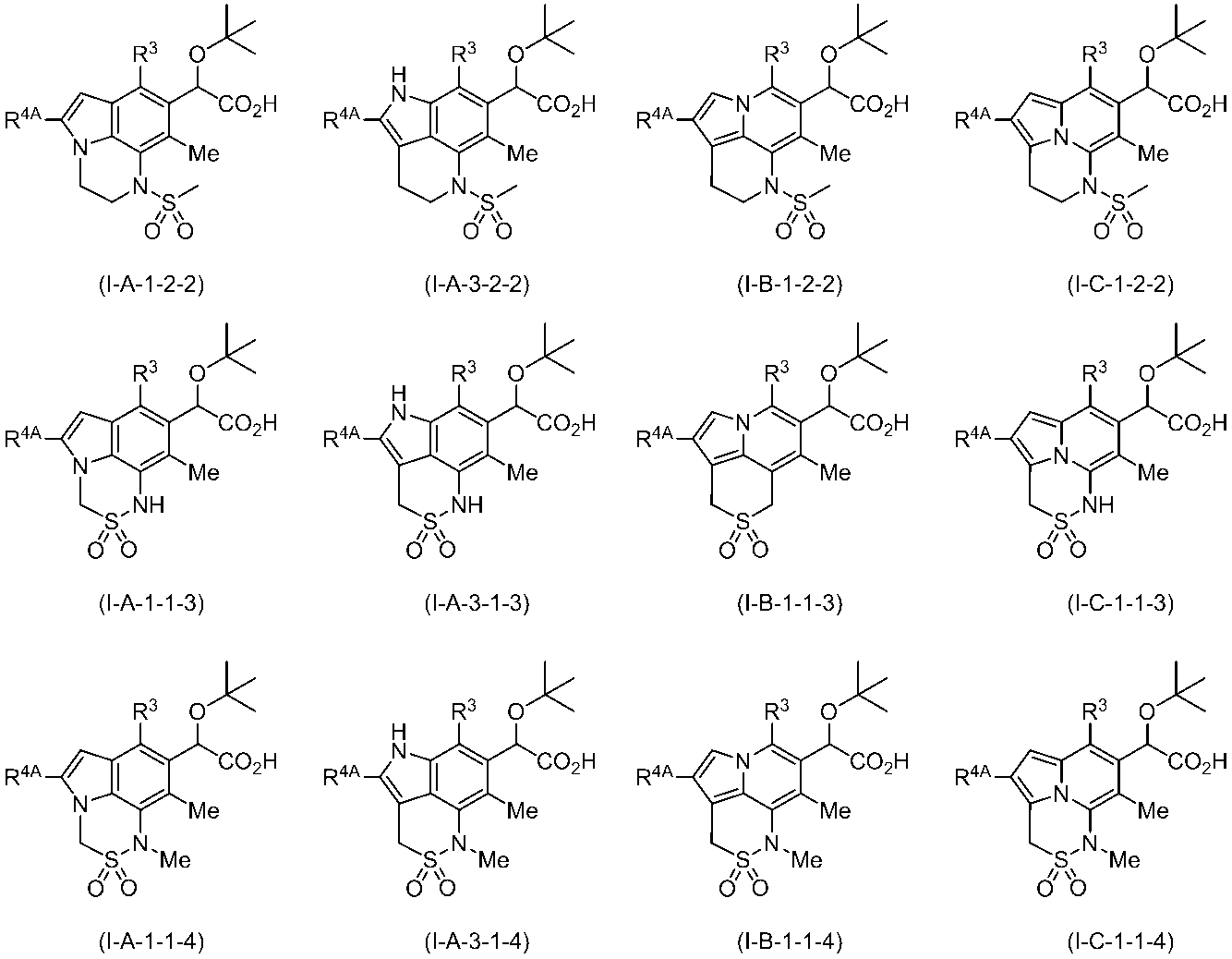 Figure JPOXMLDOC01-appb-C000172