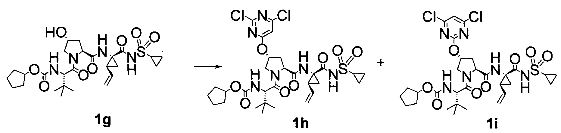 Figure imgf000053_0001