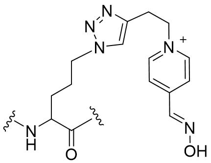 Figure JPOXMLDOC01-appb-C000016