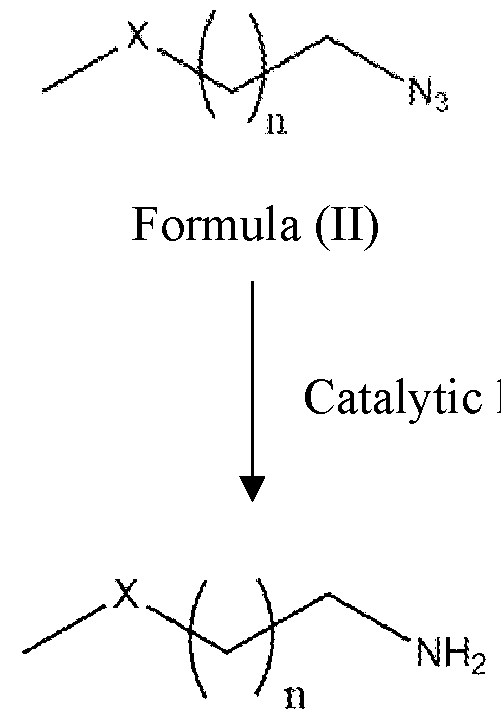 Figure imgf000010_0001