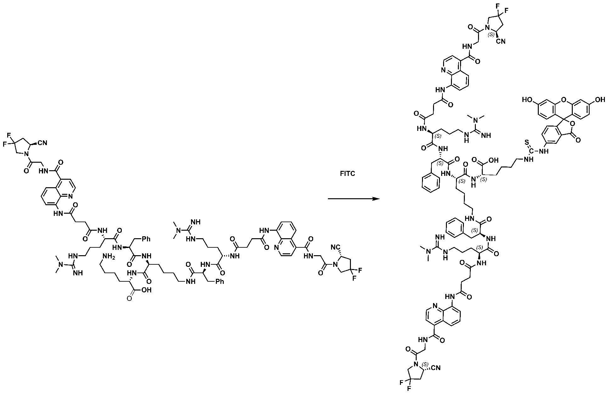 Figure imgf000066_0002
