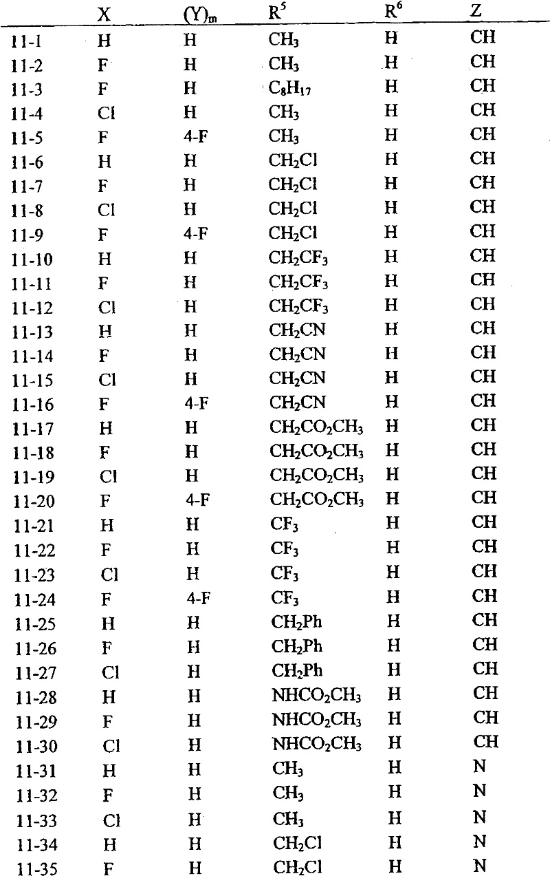 Figure 2005800246388A00800982