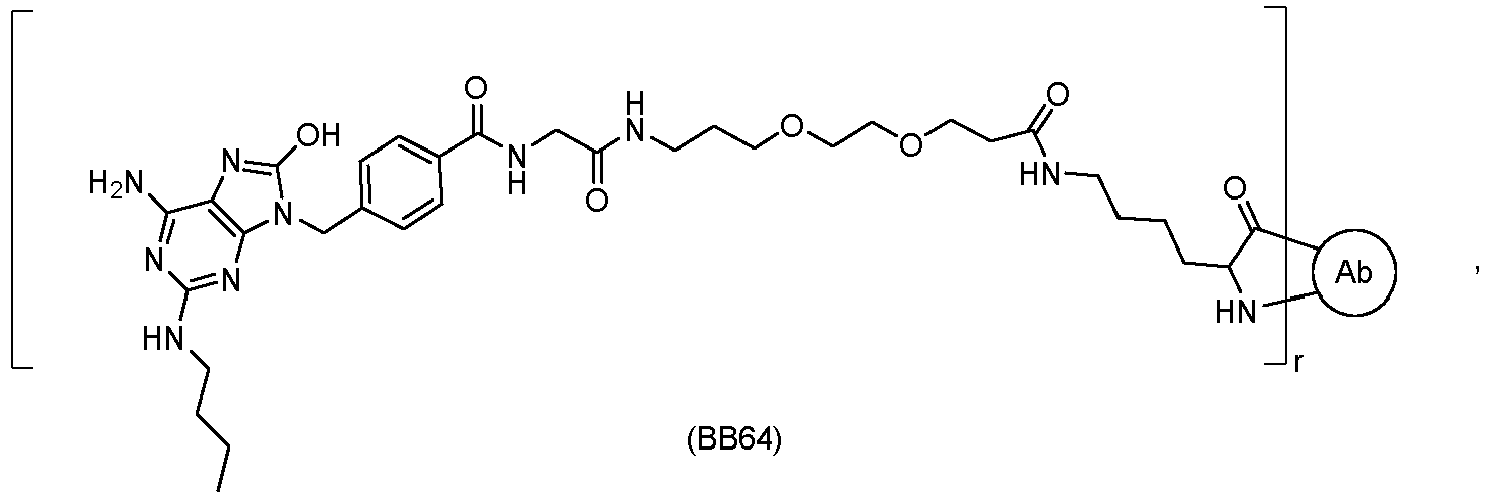 Figure imgb0089