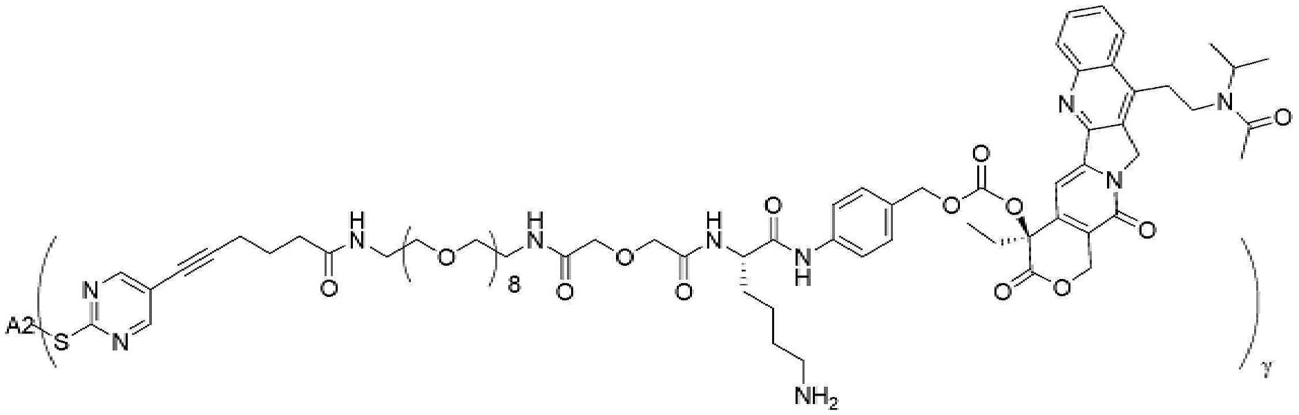 Figure pct01302