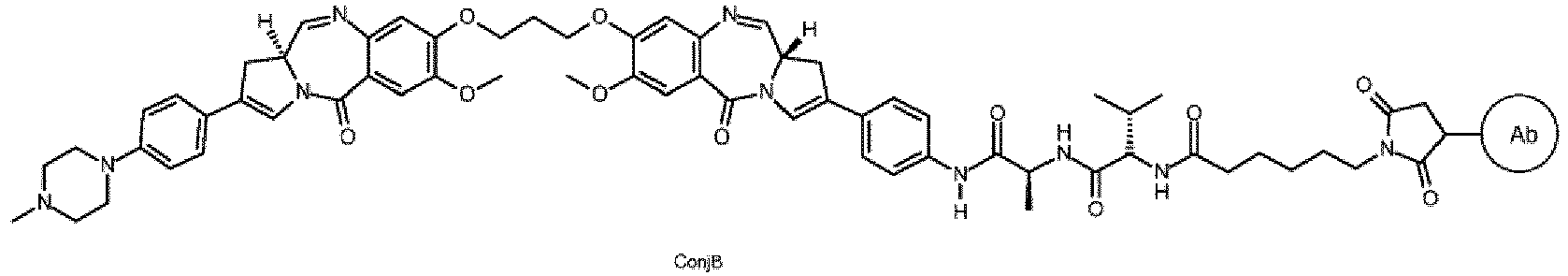 Figure imgb0051