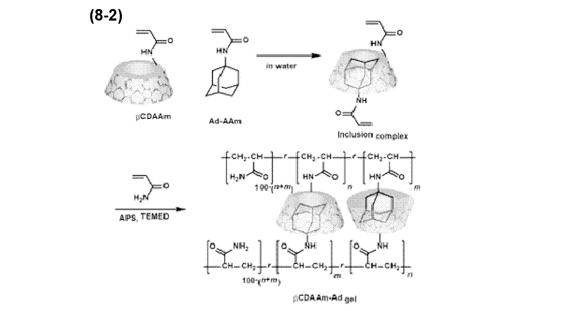 Figure JPOXMLDOC01-appb-C000039