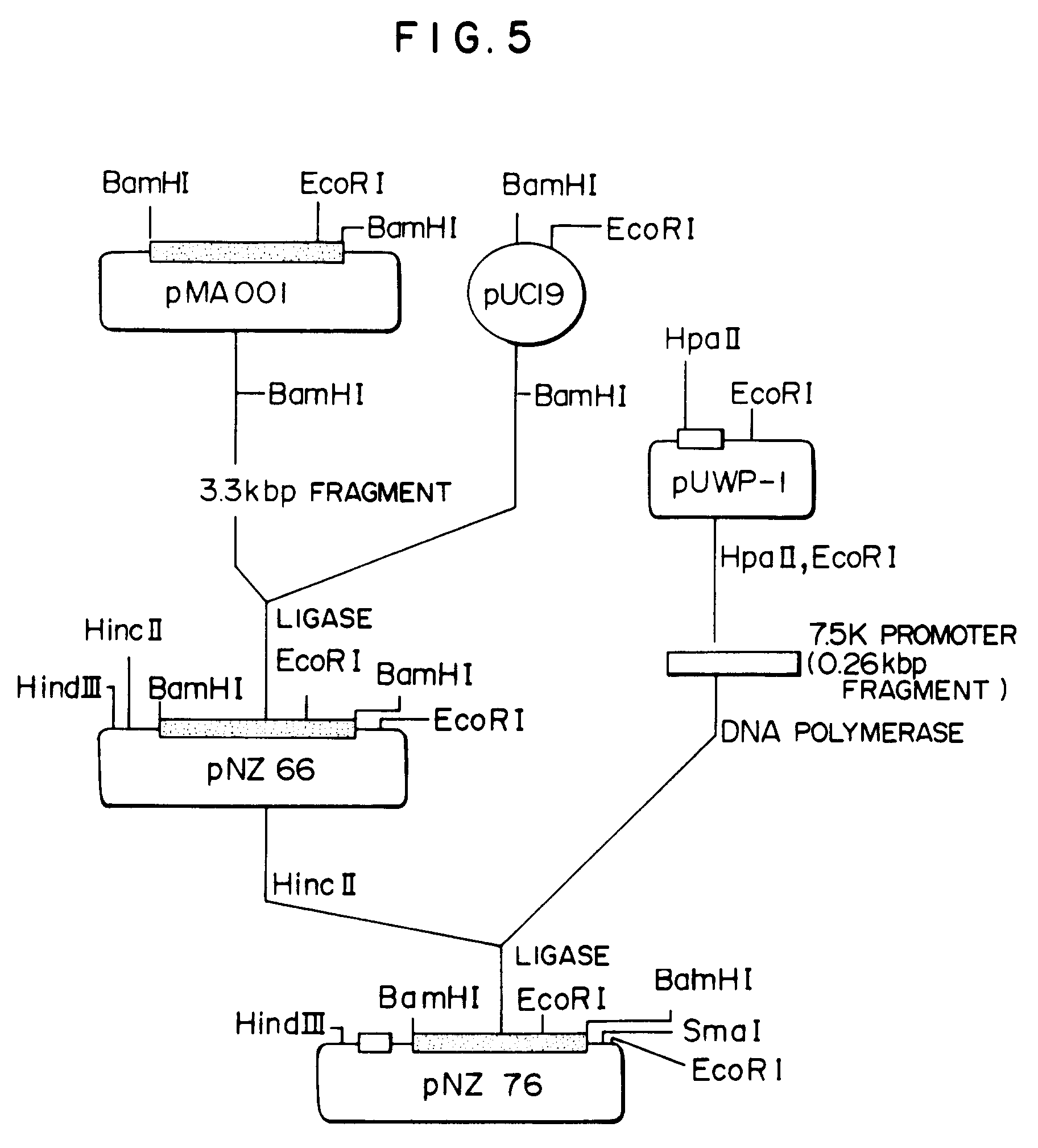 google patents