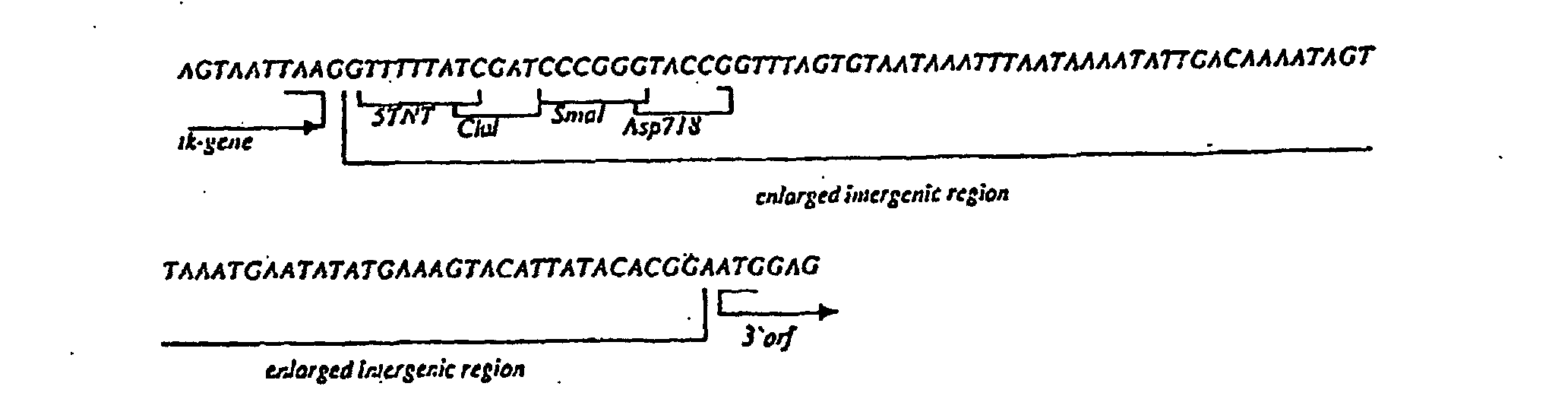Figure 00550001