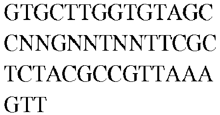 Figure imgb0174
