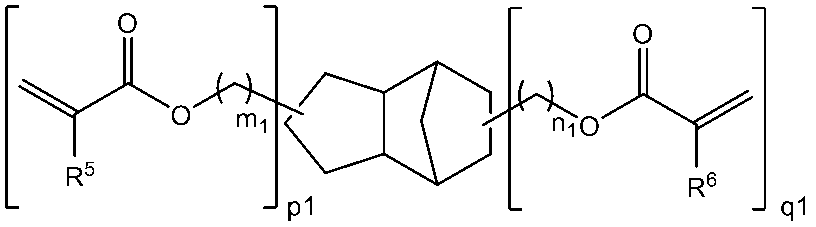 Figure JPOXMLDOC01-appb-C000005