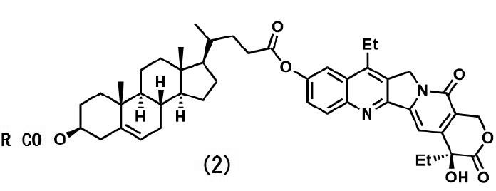 Figure JPOXMLDOC01-appb-C000002