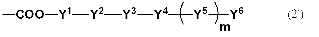 Figure JPOXMLDOC01-appb-C000010