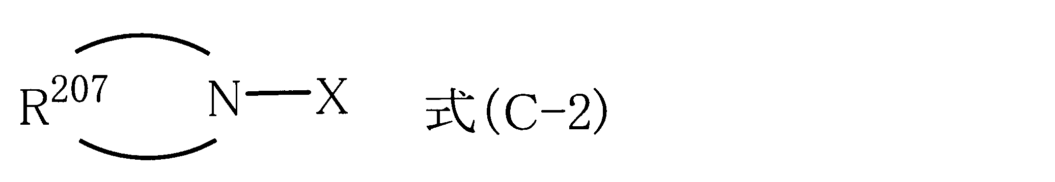 Figure JPOXMLDOC01-appb-C000019