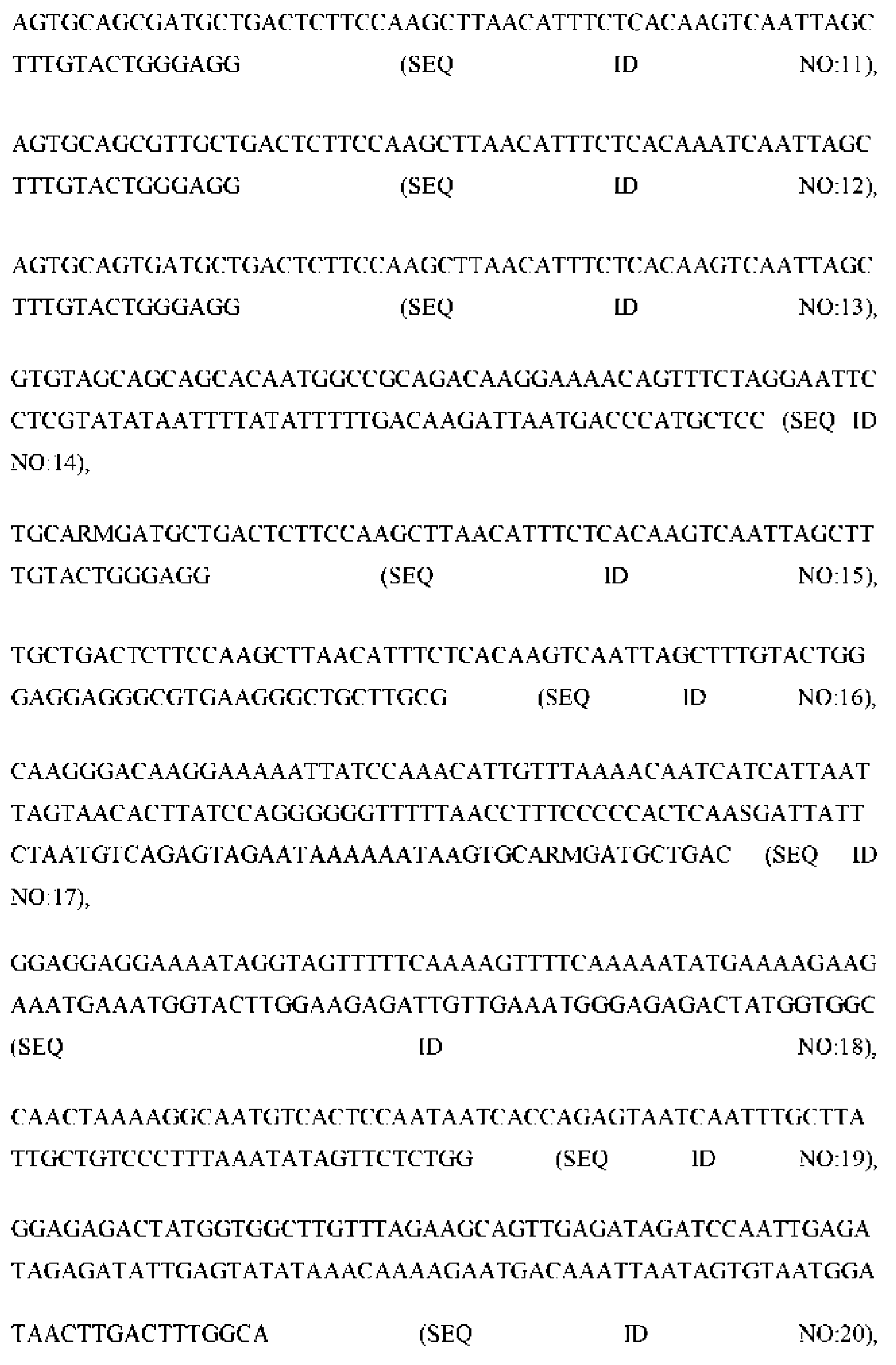 Figure imgf000004_0001