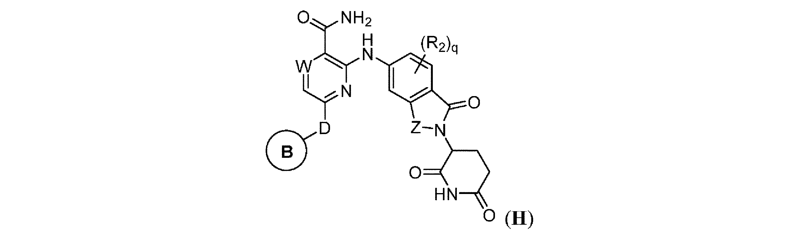 Figure 0007600123000228