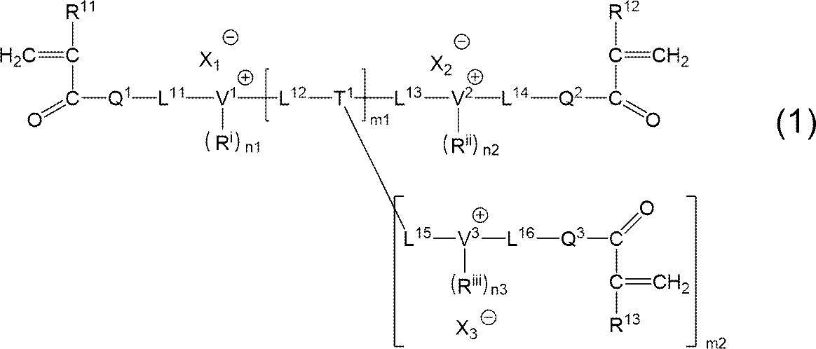 Figure JPOXMLDOC01-appb-C000017