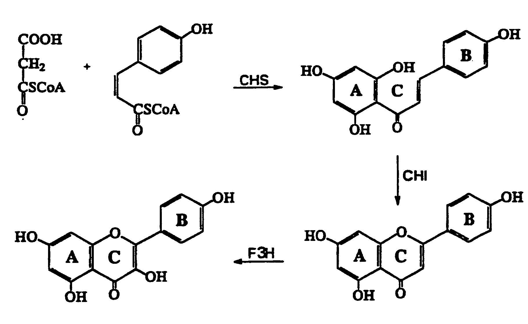 Figure 00070001