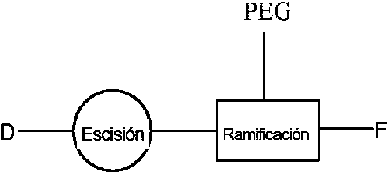 Figure imgf000037_0003