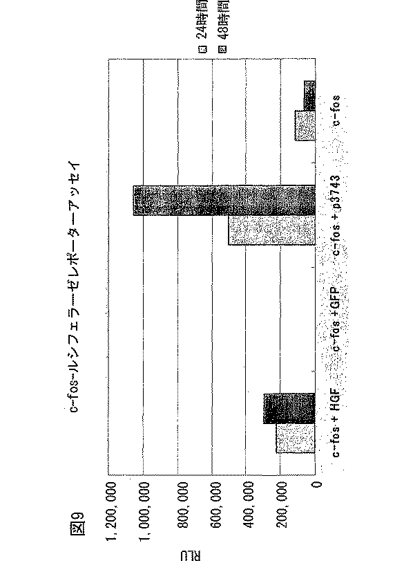 Jpwo2004046353a1 所望の機能的性質を有する核酸の単離方法およびそのためのキット Google Patents