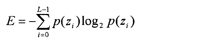 Figure CN101303735BD00086