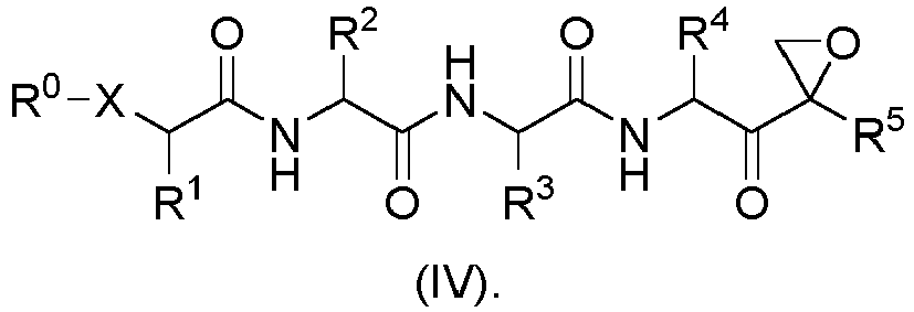 Figure imgb0009