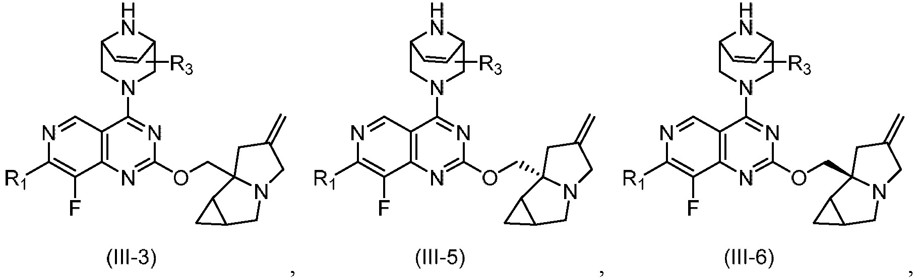 Figure imgb0061
