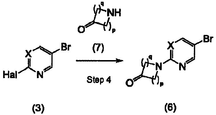 Figure imgb0133