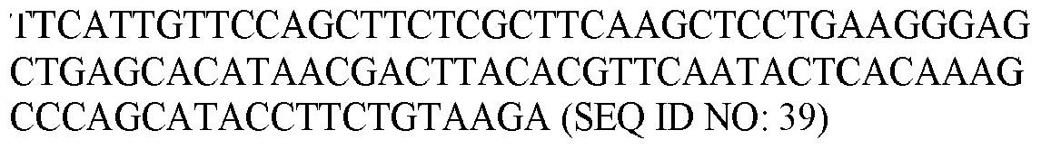 Figure imgb0045