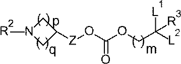 Figure JPOXMLDOC01-appb-C000032