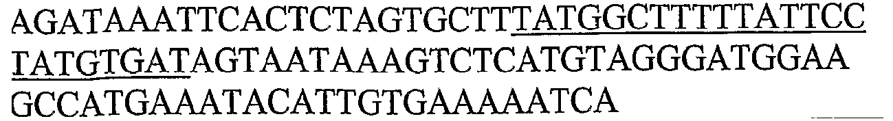 Figure imgb0263