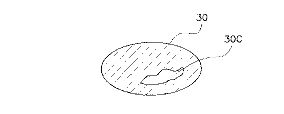 Figure 0004201435