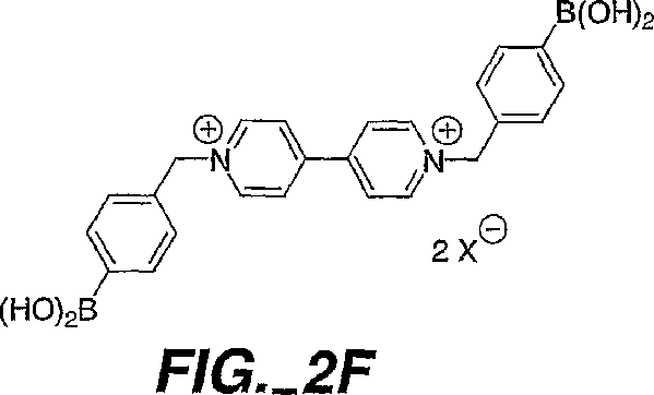 Jp4222503b2 Optical Measurement Of Glucose Using Boronic Acid Adducts Google Patents