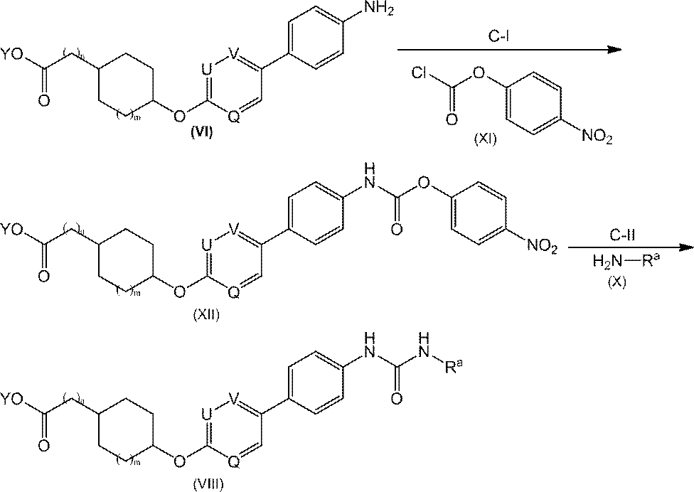 Figure JPOXMLDOC01-appb-C000009