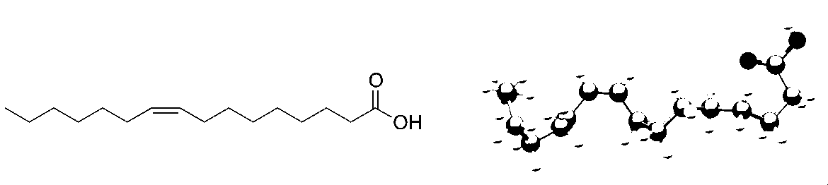 Figure JPOXMLDOC01-appb-C000017