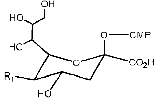 Figure imgf000036_0001