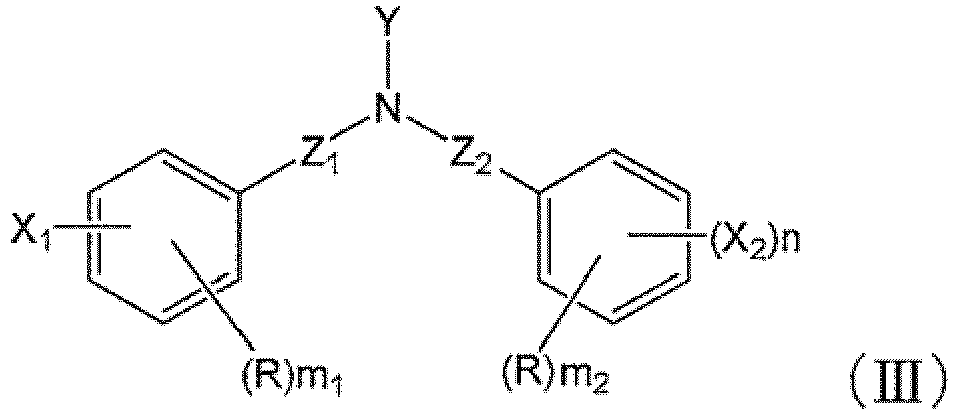 Figure imgb0031