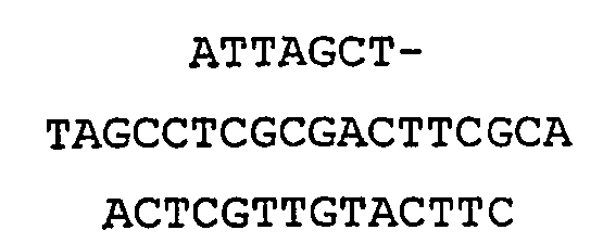 Figure imgb0056