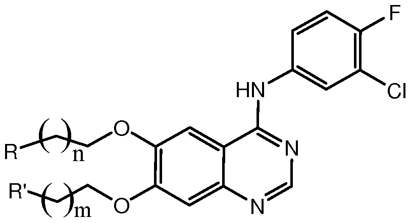 Figure imgf000003_0001