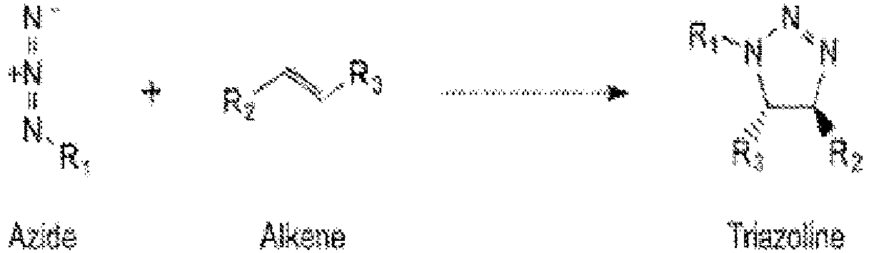 Figure imgb0024