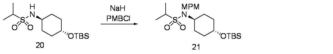 Figure JPOXMLDOC01-appb-C000053