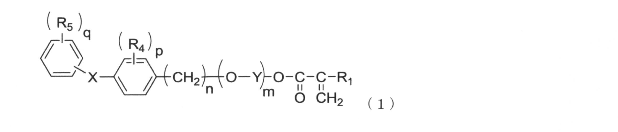 Figure JPOXMLDOC01-appb-C000025