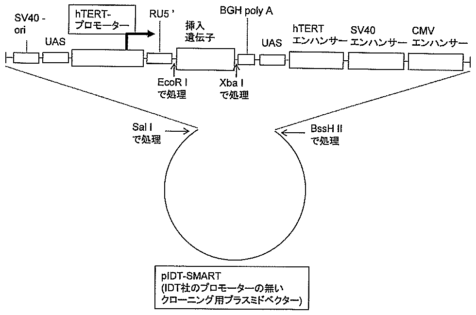 Figure JPOXMLDOC01-appb-I000006