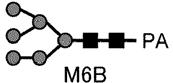 Figure imgb0005