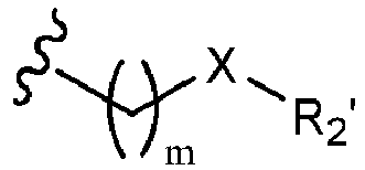 Figure imgb0113