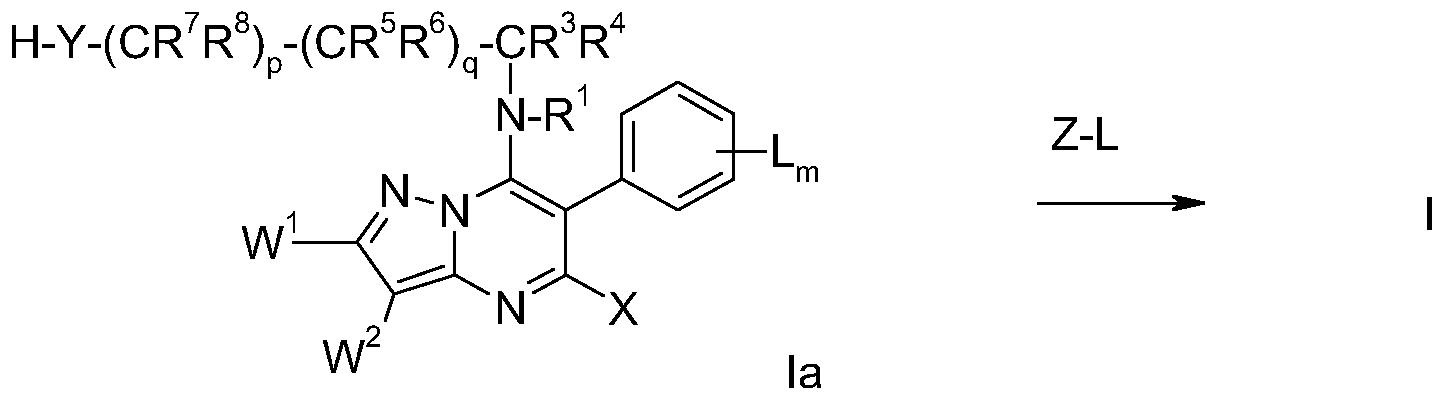 Figure imgf000010_0001