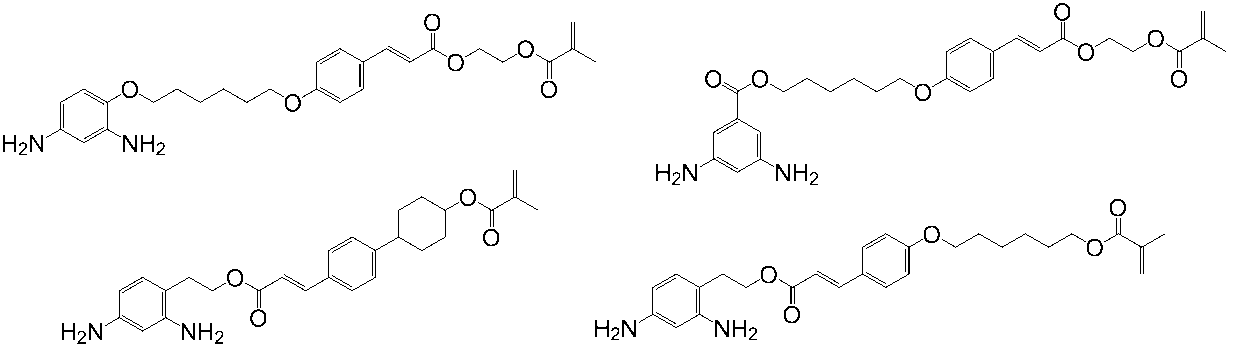 Figure JPOXMLDOC01-appb-C000042