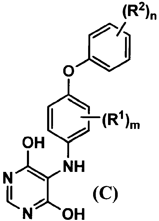 Figure imgb0010